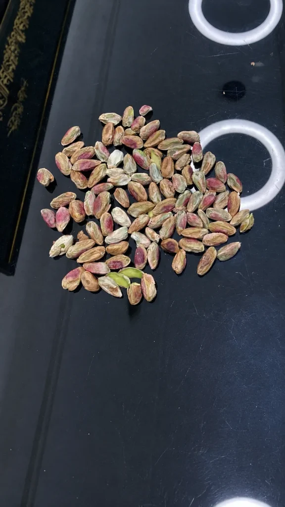 akbari kernel