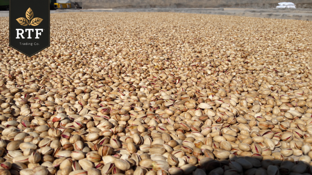 difference between iranian and california pistachios
